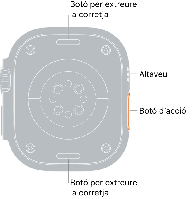 La part de darrere de l’Apple Watch Ultra mostra els botons per obrir la corretja a dalt i a baix; els sensors cardíacs elèctrics, els sensors cardíacs òptics i els sensors d’oxigen en sang al centre, i l’altaveu i les sortides de ventilació a la part lateral del rellotge.
