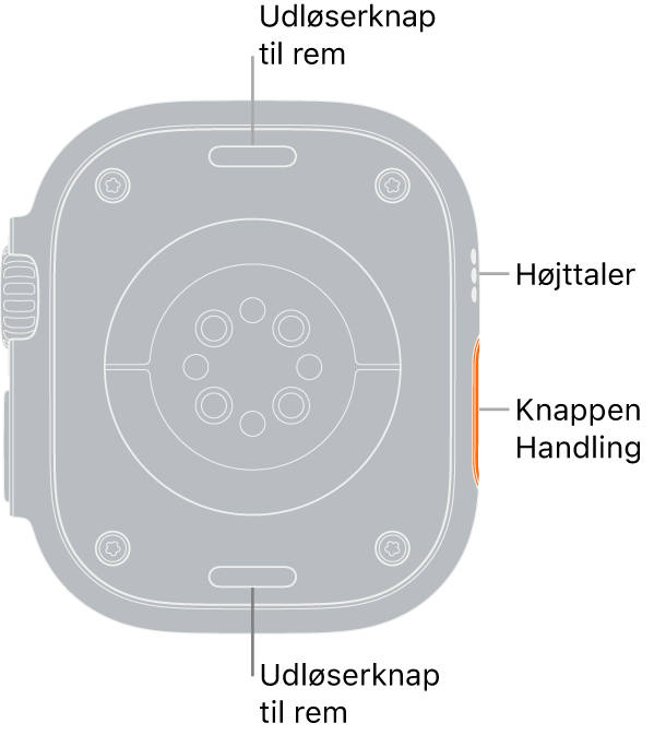 Bagsiden af Apple Watch Ultra med udløserknapperne foroven og forneden, de elektriske pulsmålere, de optiske pulsmålere og sensorerne til iltniveau i blodet i midten og højttaleren/ventilationshullerne på siden.