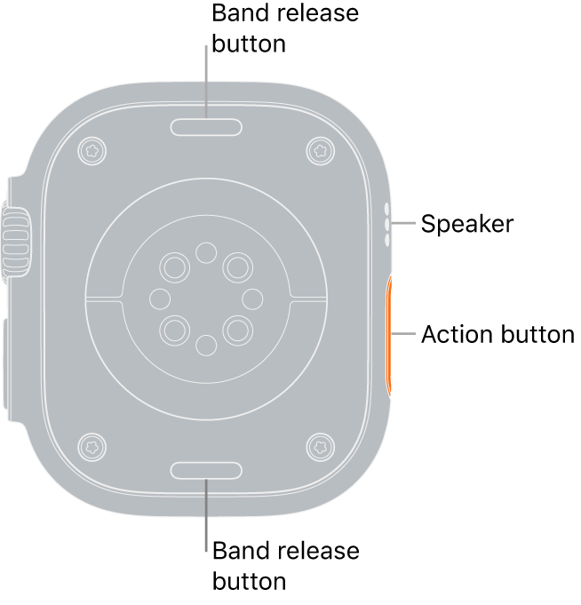 The back of Apple Watch Ultra, with the band release buttons at top and bottom, the electrical heart sensors, optical heart sensors, and blood oxygen sensors in the middle, and the speaker/air vents on the side.