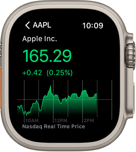 Information about a stock in the Stocks app.