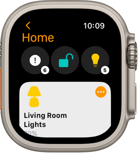 The Home app showing status icons at the top and an accessory below.