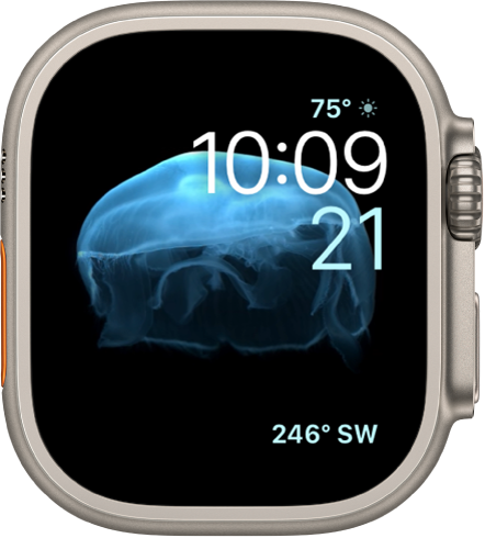 The Motion watch face showing a jellyfish. You can choose which object is in motion and add several complications. A Weather Conditions complication is at the top right, the time and date are below, and a Compass complication is at the bottom.