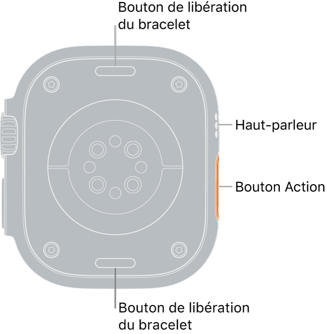 Le dos de l’Apple Watch Ultra, avec les boutons de retrait du bracelet en haut et en bas, les capteurs de rythme cardiaque électriques et les capteurs d’oxygène sanguin au centre, puis le haut-parleur et les évents sur le côté.
