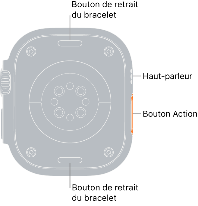 L’arrière de l’Apple Watch Ultra, avec les boutons de retrait du bracelet en haut et en bas, les capteurs électriques de fréquence cardiaque, les capteurs optiques de fréquence cardiaque et les capteurs d’oxygénation du sang au milieu, ainsi que le haut-parleur et les aérations sur le côté.