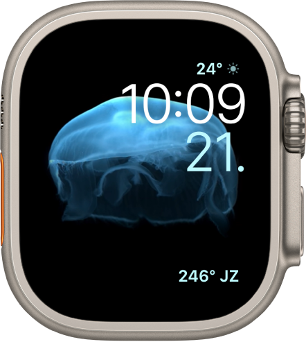 Brojčanik sata Animirani koji prikazuje meduzu. Možete odabrati koji je objekt animiran i dodati nekoliko dodataka. Dodatak Vremenski uvjeti nalazi se gore desno, vrijeme i datum su ispod, a dodatak Kompas nalazi se na dnu.