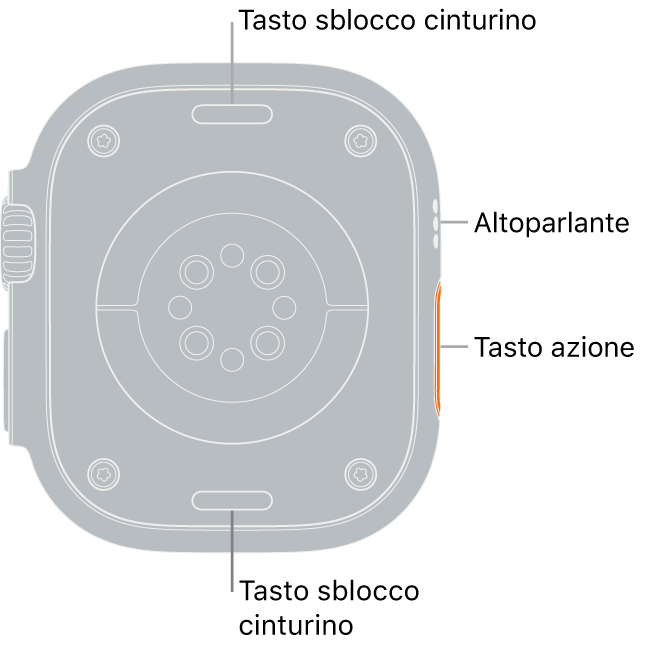 La parte posteriore di Apple Watch Ultra, con i pulsanti di sblocco del cinturino in alto e in basso, i sensori elettrici e quelli ottici per il cuore e i sensori per il livello di ossigeno nel sangue in mezzo, e l'altoparlante e i condotti di ventilazione sul lato.