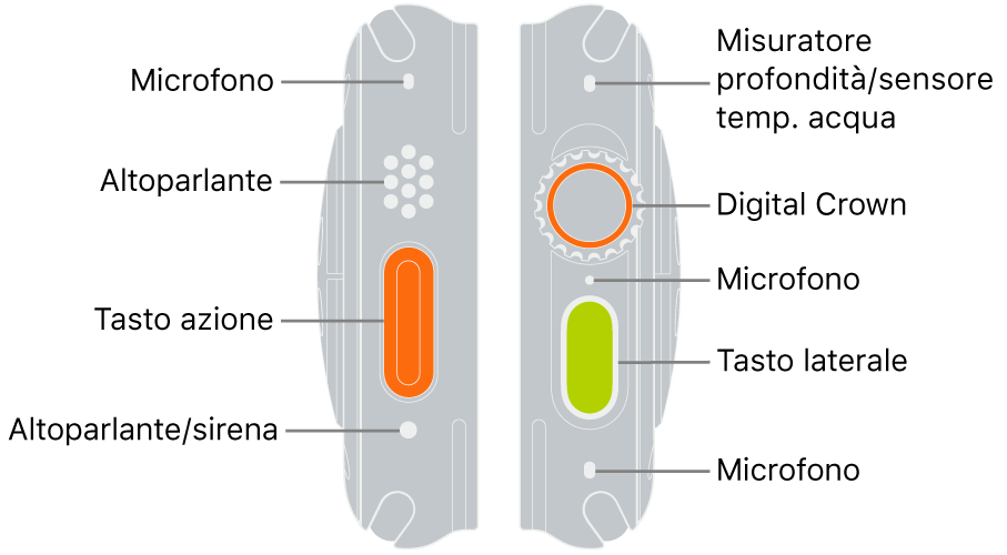 I due lati di Apple Watch Ultra. L'immagine a sinistra mostra la parte posteriore di Apple Watch Ultra sulla sinistra. Dall'alto in basso, le didascalie evidenziano il microfono, gli altoparlanti, il tasto Azione e una porta dell'altoparlante dalla quale viene trasmesso il suono della sirena. L'immagine a destra mostra la parte posteriore di Apple Watch Ultra sulla destra. Dall'alto in basso, le didascalie evidenziano il misuratore di profondità/sensore della temperatura dell'acqua, la Digital Crown, il microfono, il tasto laterale e un secondo microfono.