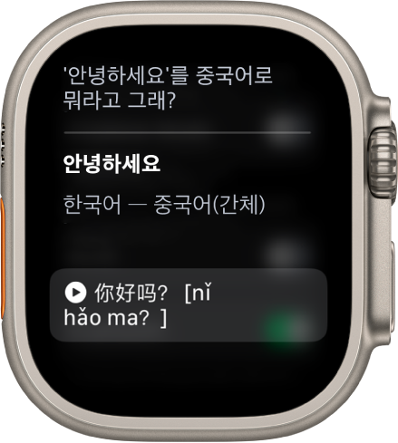 “‘잘지내’를 중국어로 어떻게 말해?”라는 말을 표시하는 Siri 화면. 영어 번역은 아래에 있음.