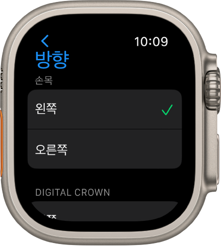 Apple Watch 방향 화면. 손목 및 Digital Crown 환경설정을 설정할 수 있음.