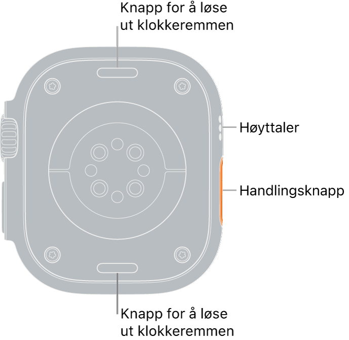 Baksiden av Apple Watch Ultra, med remutløserknappene øverst og nederst, de elektriske pulssensorene, de optiske pulssensorene og sensorene for oksygen i blodet i midten, og høyttaleren/luftventilene på siden.