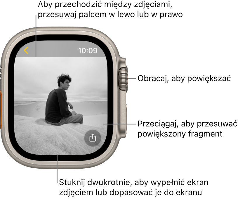 Po wyświetleniu zdjęcia możesz: obracać Digital Crown, aby powiększać lub pomniejszać; przeciągać, aby przesuwać powiększony fragment zdjęcia; stukać dwukrotnie, aby przełączać między wyświetlaniem całego zdjęcia i wypełnianiem nim ekranu. Aby przechodzić między zdjęciami, przesuwaj palcem w lewo lub w prawo. W prawym dolnym rogu znajduje się przycisk Udostępnij.