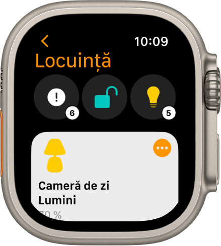 Aplicația Locuință afișând pictograme de stare în partea de sus și un accesoriu dedesubt.