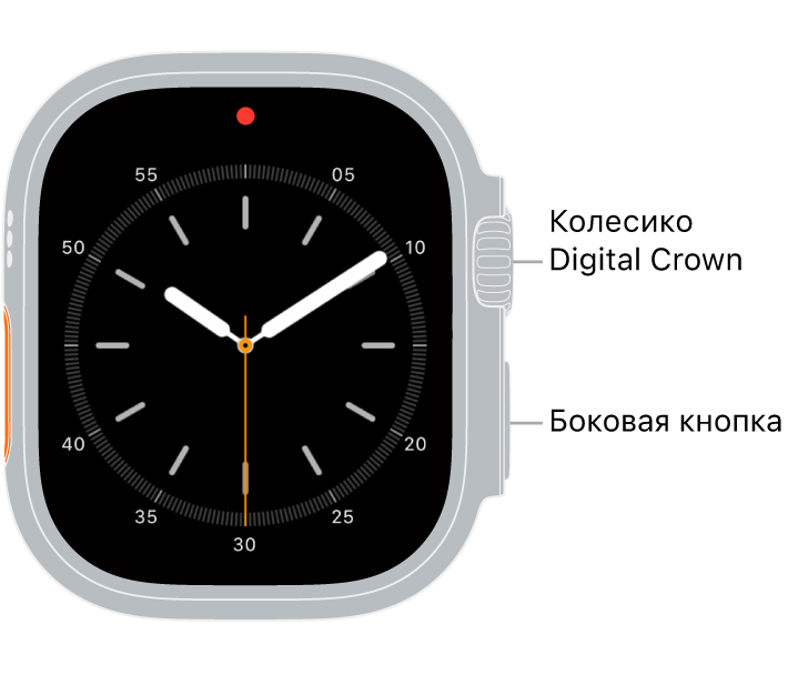 Лицевая сторона Apple Watch Ultra. Вверху справа показано колесико Digital Crown, а внизу справа — боковая кнопка.