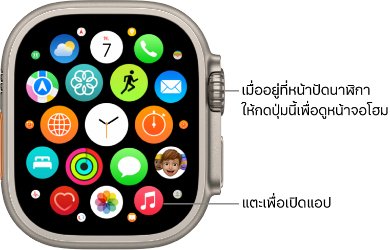 หน้าจอโฮมในมุมมองตารางบน Apple Watch ซึ่งมีแอปอยู่รวมกันเป็นกลุ่มก้อน แตะที่แอปเพื่อเปิด ลากเพื่อดูแอปเพิ่มเติม