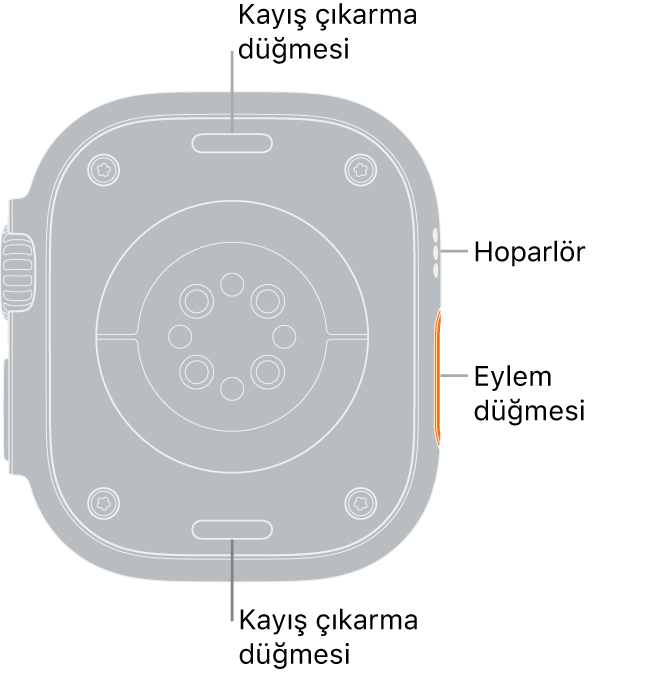 Üstte ve altta kayış çıkarma düğmeleri, ortada elektrikli kalp sensörleri, optik kalp sensörleri ve kanda oksijen sensörleri, yanda da hoparlör/havalandırma delikleri ile Apple Watch Ultra’nın arkası.