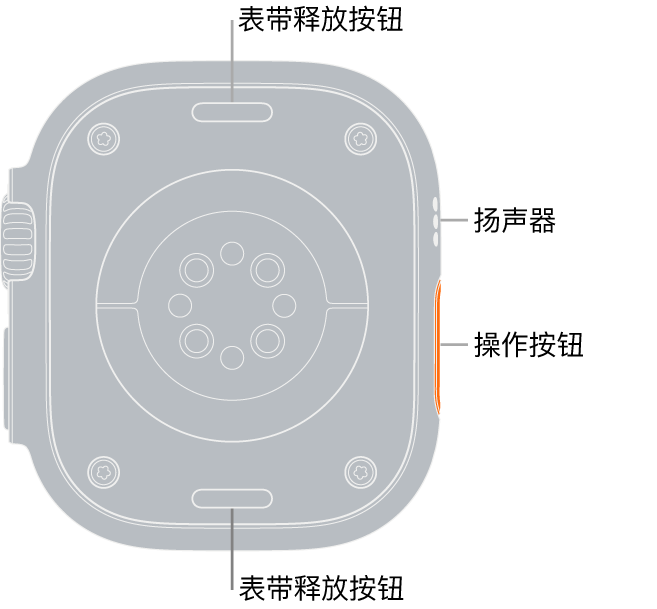 Apple Watch Ultra 的背面，顶部和底部是表带释放按钮，中间是电子心率传感器、光学心率传感器和血氧传感器，侧边是扬声器/通风孔。