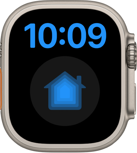 「大字體」錶面在最上方以數位格式顯示時間。下方為大型「家庭」複雜功能。