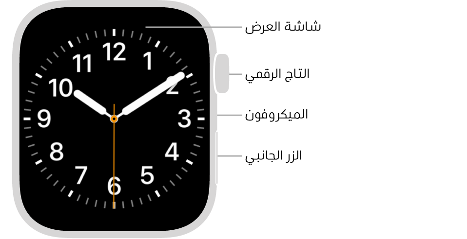 الجزء الأمامي من Apple Watch Series 8 وتظهر به شاشة العرض التي تعرض واجهة الساعة والتاج الرقمي والميكروفون والزر الجانبي من أعلى إلى أسفل على جانب الساعة.