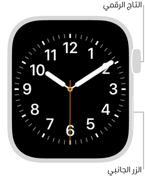 الجزء الأمامي من Apple Watch، ويظهر التاج الرقمي في الجزء العلوي على الجانب الأيمن من الساعة والزر الجانبي في أسفل اليمين.