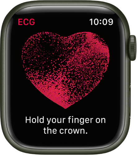 Приложението ECG (ЕКГ) показва изображение на сърце с думите „Hold your finger on the crown“ („Дръжте вашия пръст върху коронката“).