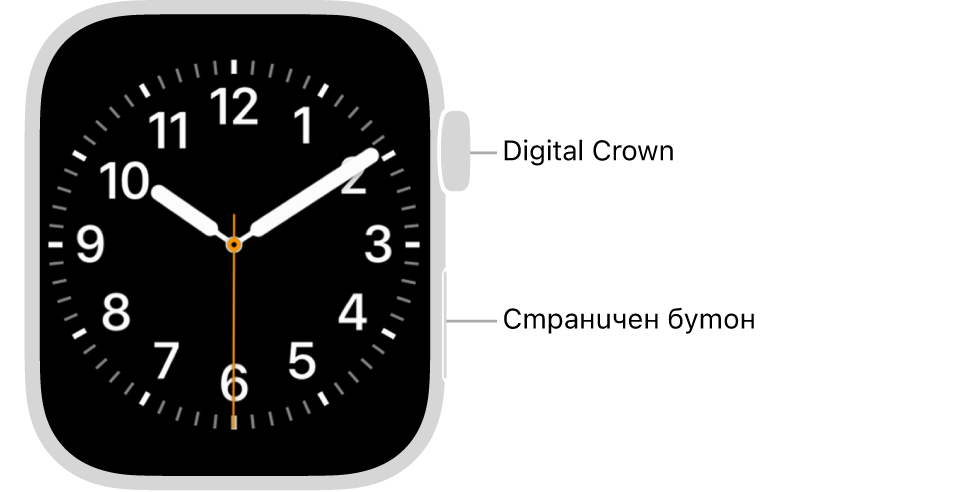 Предната част на Apple Watch с коронката Digital Crown, показана горе от дясната страна на часовника и страничния бутон, показан долу вдясно.