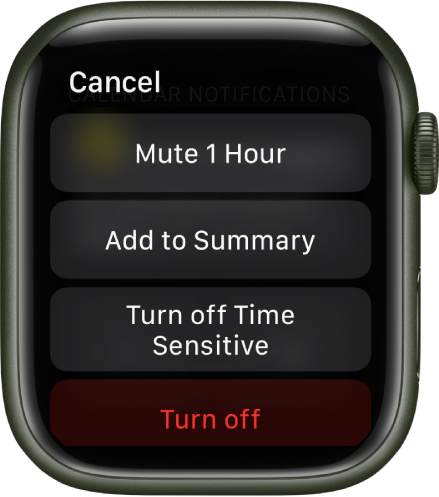 Настройки за известия на Apple Watch. На най-горния бутон пише „Mute 1 Hour“ („Заглушаване за 1 час“). Отдолу са бутоните за Add to Summary (Добавяне към обобщение), Turn off Time Sensitive (Изключване на зависими от датата и часа) и Turn Off (Изключване).