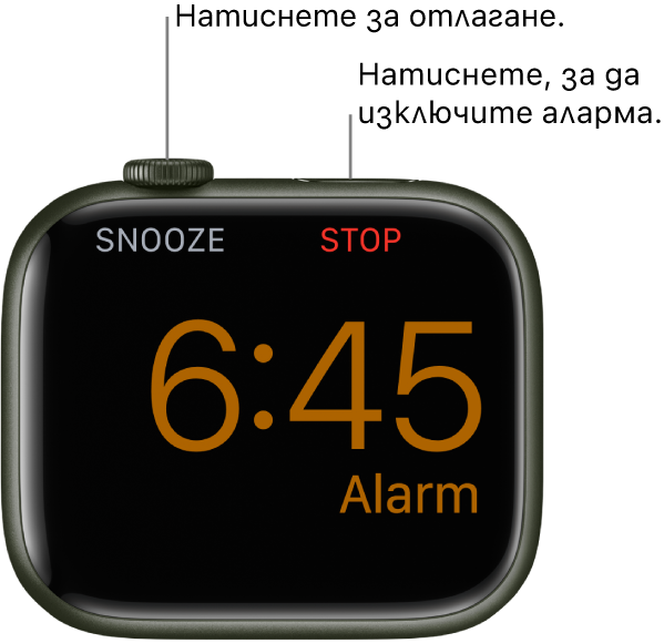 Apple Watch, поставен на една страна, екранът показва аларма, която се е включила. Под коронката Digital Crown е думата „Snooze“)(„Дрямка“). Думата „Stop“ („Стоп“) е под страничния бутон.