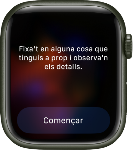 L’app Atenció Plena mostra un pensament sobre el qual pots reflexionar. Hi posa: “Busca alguna cosa del teu voltant. Fixa’t en els detalls”. El botó Començar és a sota.