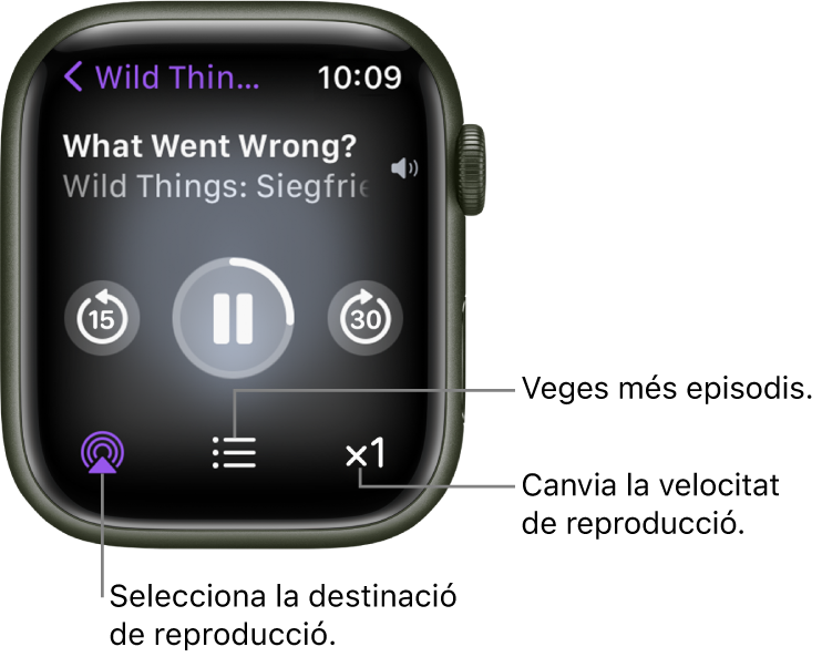 Pantalla “S’està reproduint” de l’app Podcasts amb el nom del programa, el títol de l’episodi, la data, el botó per retrocedir 15 segons, el botó de pausa, el botó per avançar 30 segons, el botó AirPlay, el botó d’episodis i el botó de velocitat de reproducció.