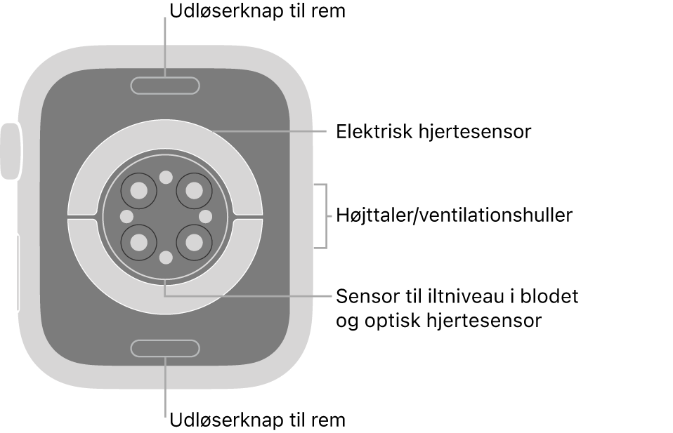 Bagsiden af Apple Watch Series 6 med udløserknapperne foroven og forneden, de elektriske pulsmålere, de optiske pulsmålere og sensorerne til iltniveau i blodet i midten og højttaleren/ventilationshullerne på siden.