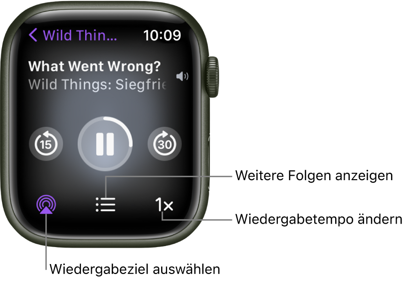 Die Anzeige „Jetzt läuft“ für einen Podcast mit den Titeln von Sendung und Folge, dem Datum, den Tasten zum Zurückspringen von 15 Sekunden, zum Anhalten und zum Vorspringen von 30 Sekunden, der Taste „AirPlay“, der Taste für die Folgen und einer Taste für das Wiedergabetempo.