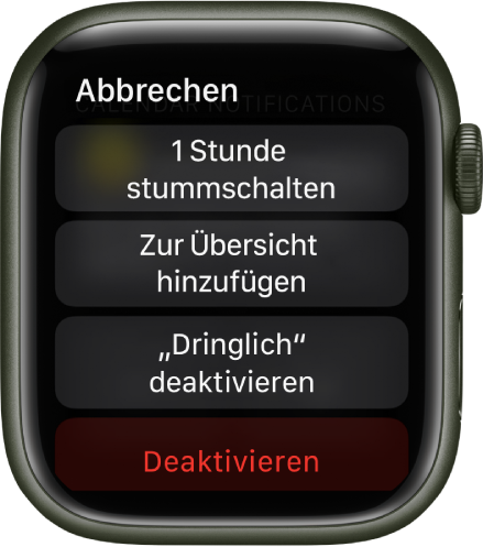 Einstellungen für Mitteilungen auf der Apple Watch. Auf der oberen Taste steht „1 Stunde stummschalten“. Darunter sind Tasten für „Zur Übersicht hinzufügen“, „;Dringlich‘ deaktivieren“ und „Ausschalten“.