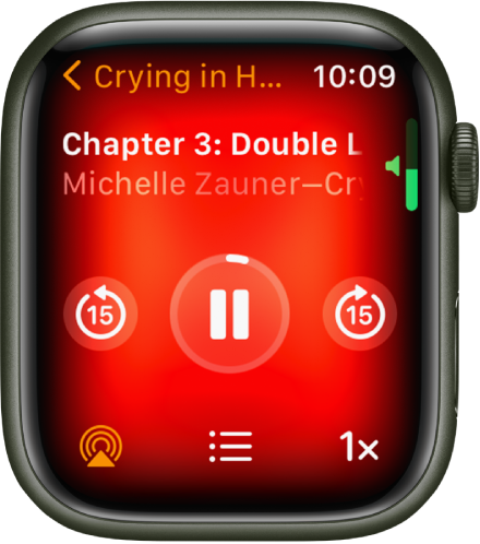 The Audiobooks Play screen with the audiobook title at the top, the chapter below, and playback controls below that.