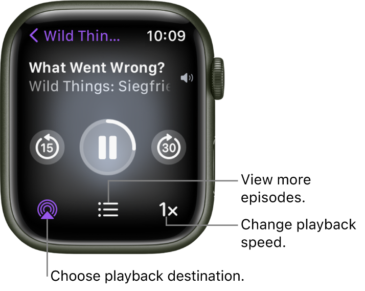 Play podcasts on Apple Watch Apple Support (IN)