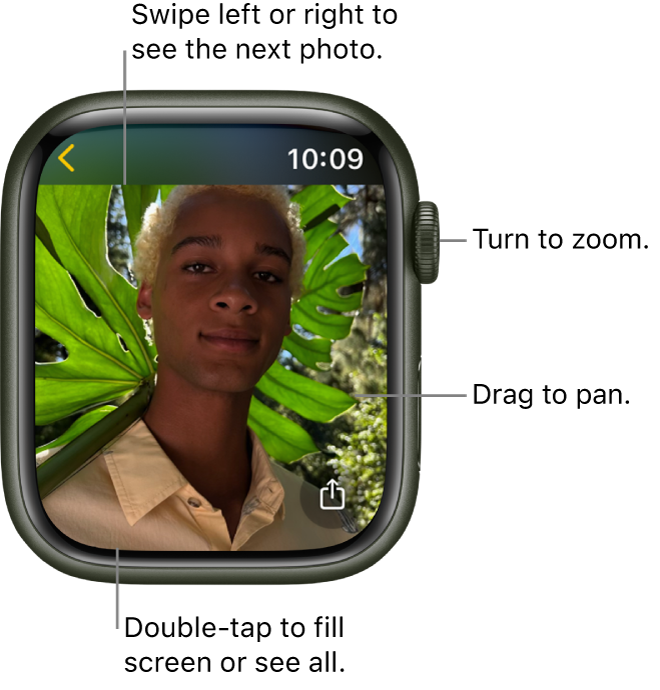 While viewing a photo, turn the Digital Crown to zoom, drag to pan, or double-tap to switch between viewing all of the photo and filling the screen. Swipe left or right to see the next photo. A Share button is on the bottom right.