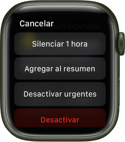 Configuración de notificaciones en el Apple Watch. El botón superior dice Silenciar 1 hora. En la parte inferior están los botones Agregar al resumen, Desactivar urgentes y Desactivar.