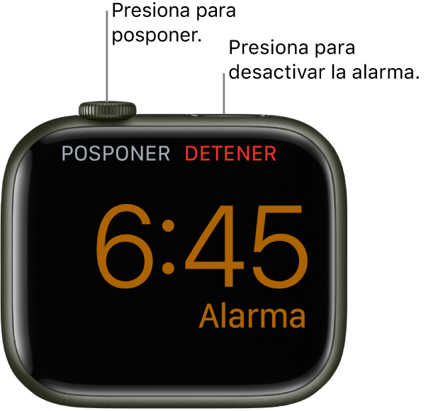 Un Apple Watch colocado de lado, la pantalla muestra una alarma activa. Debajo de la Digital Crown está la opción Posponer. La palabra Detener está debajo del botón lateral.