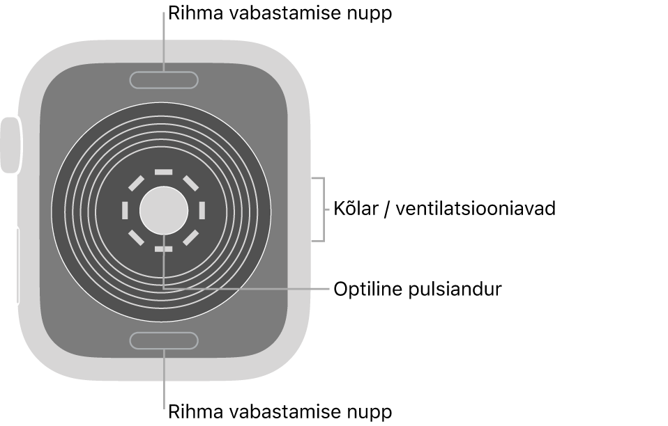 Apple Watch SE tagakülg, kus üleval ja all on rihma vabastusnupud, optiline südamepulsiandur keskel ning kõlar/ventilatsiooniavad küljel.