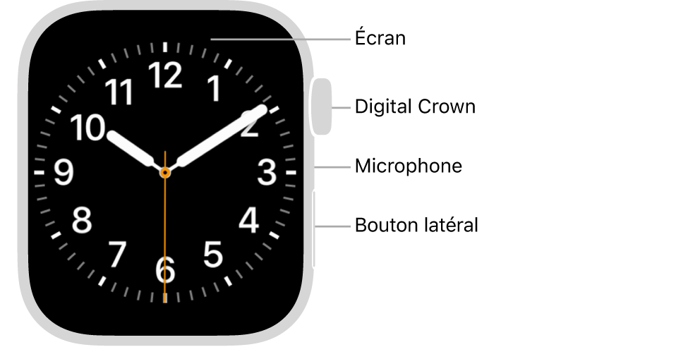 Le devant de l’Apple Watch Series 8, avec l’écran qui affiche le cadran, et la Digital Crown, le micro ainsi que le bouton latéral de haut en bas sur le côté de la montre.