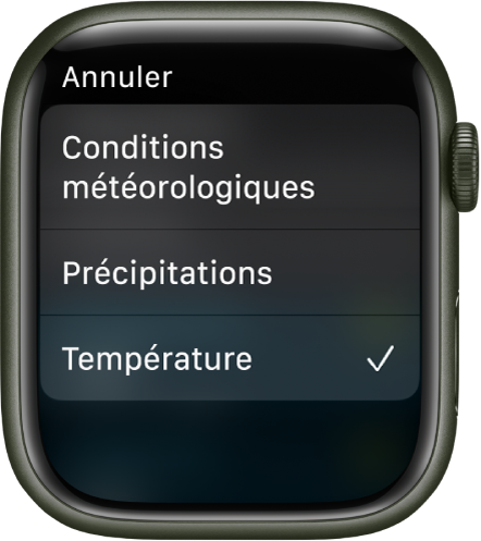 L’app Météo affiche trois choix dans une liste : Conditions météorologiques, Précipitations et Température.