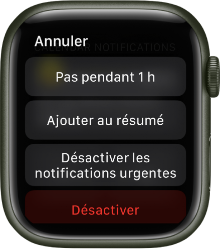 Réglages de notification sur l’Apple Watch. En haut se trouve le bouton « Pas pendant 1 h ». Les boutons « Ajouter au résumé », « Désactiver les notifications urgentes » et Désactiver figurent en dessous.