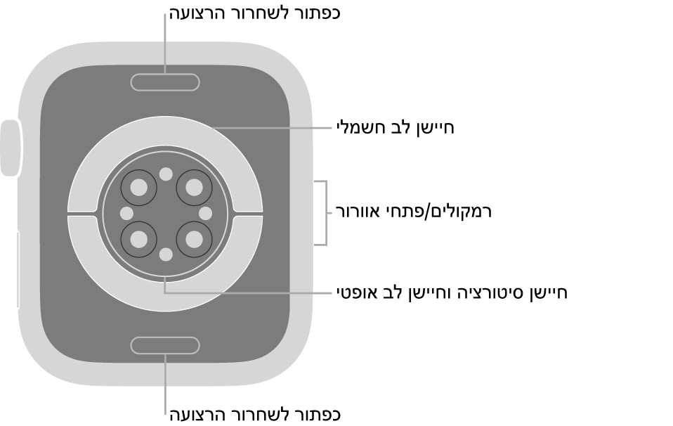 החלק האחורי של Apple Watch Series 6 עם כפתורי שחרור הרצועה למעלה ולמטה, חיישני הדופק האלקטרוניים, חיישני הדופק האופטיים וחיישני רמת החמצן בדם בחלק המרכזי והרמקול/פתחי האוורור בצד.