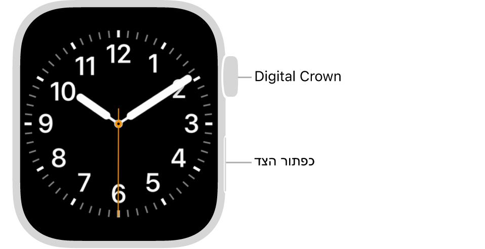 רואים את החזית של ה-Apple Watch. ה-Digital Crown מוצג למעלה משמאל לשעון וכפתור הצד מוצג למטה משמאל.