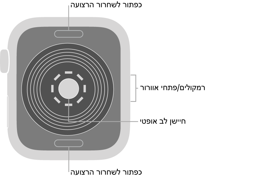 החלק האחורי של Apple Watch SE עם כפתורי שחרור הרצועה למעלה ולמטה, חיישן הדופק האופטי בחלק המרכזי והרמקול/פתחי האוורור בצד.