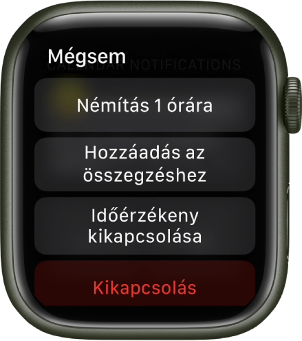 Értesítési beállítások az Apple Watchon. A felső gombon a „Némítás 1 órára” szöveg olvasható. Alatta a következő gombok találhatók: Hozzáadás az összegzéshez:, Időérzékeny kikapcsolása és Kikapcsolás.