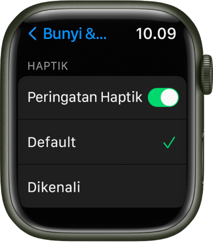 Peringatan Bunyi & Haptik di Apple Watch, dengan pengalih Peringatan Haptik, dan pilihan Default dan Dikenali di bawahnya.