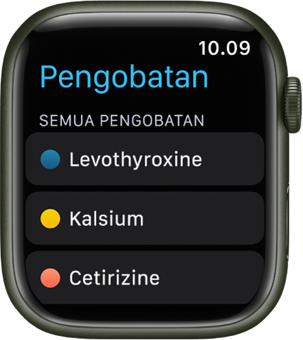 App Pengobatan menampilkan daftar semua pengobatan.