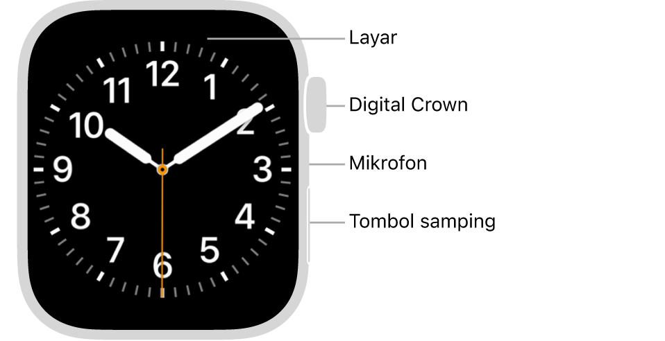 Bagian depan Apple Watch Series 8, dengan layar yang menampilkan wajah jam, dan Digital Crown, mikrofon, dan tombol samping dari bagian atas ke bawah di bagian samping jam.
