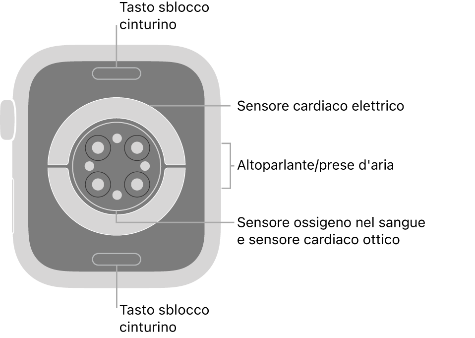 La parte posteriore di Apple Watch Series 6, con i pulsanti di sblocco del cinturino in alto e in basso, i sensori elettrici per il cuore, i sensori ottici per il cuore e i sensori per il livello di ossigeno nel sangue in mezzo, e l'altoparlante e i condotti di ventilazione sul lato.