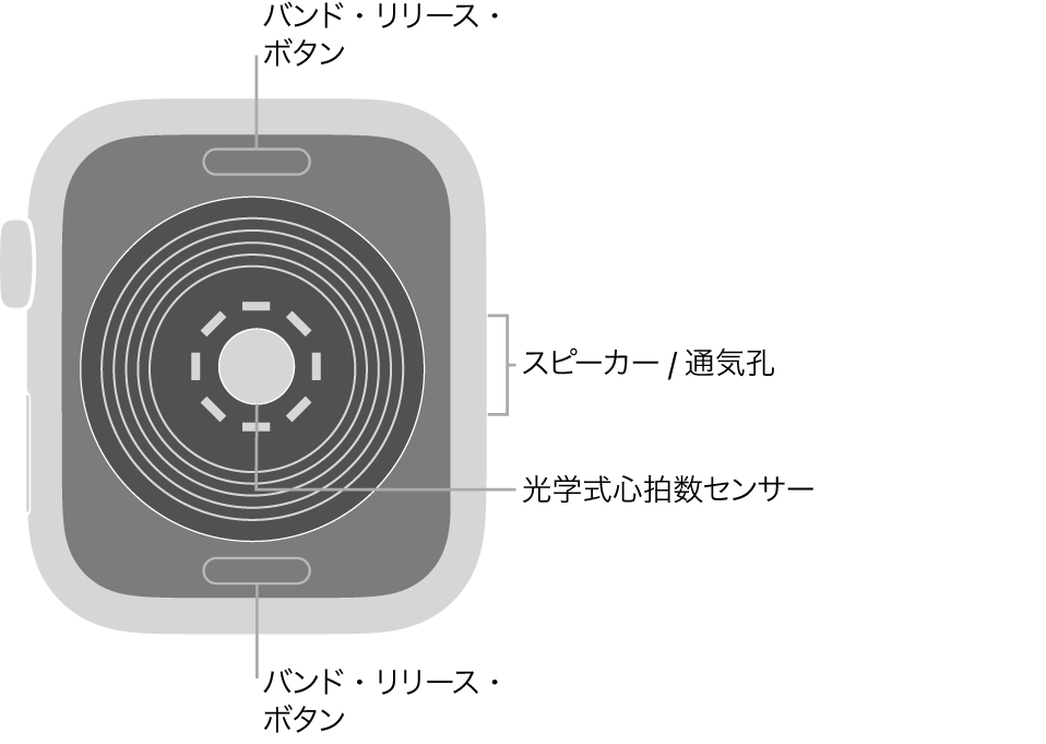 Apple Watch SEの背面で、上下にバンド・リリース・ボタン、中央に光学式心拍数センサー、側面にはスピーカー/通気孔があります。